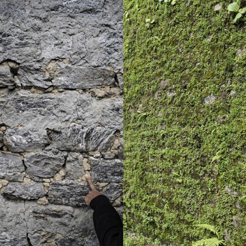 Biodiversity training institute at Sikkim, Architecture Brio