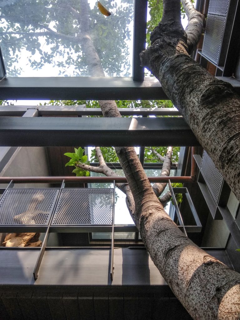 Tree House Office at New Delhi, by flYingseeds Studio 86