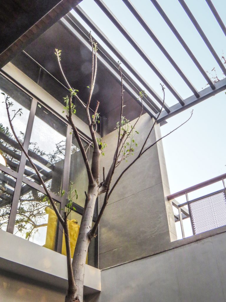 Tree House Office at New Delhi, by flYingseeds Studio 35