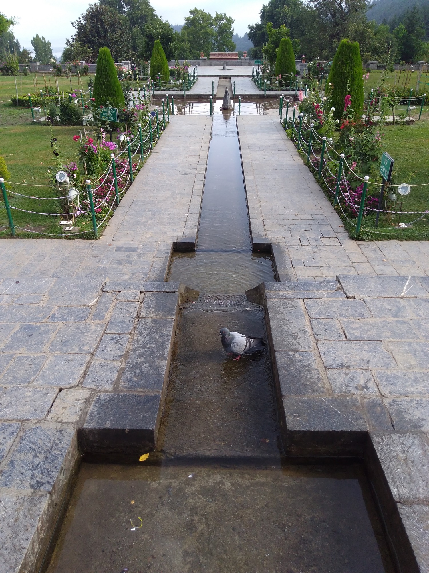 ‘Don’t Pluck Flowers' - Design Dalda brings story from Chashme Shahi Garden, Srinagar 12