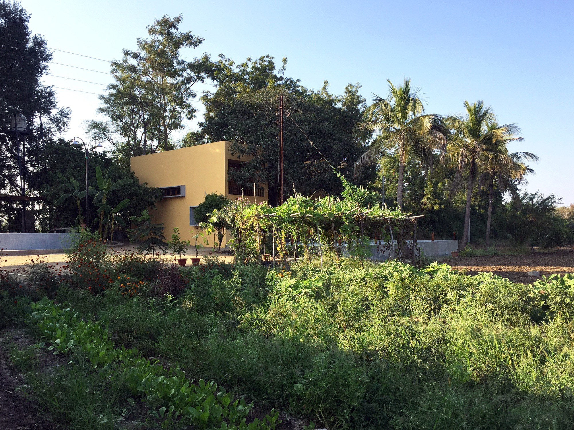 Mango Tree House at Saatnavri, Maharashtra, India by Samvad Design Studio, Bengaluru 2