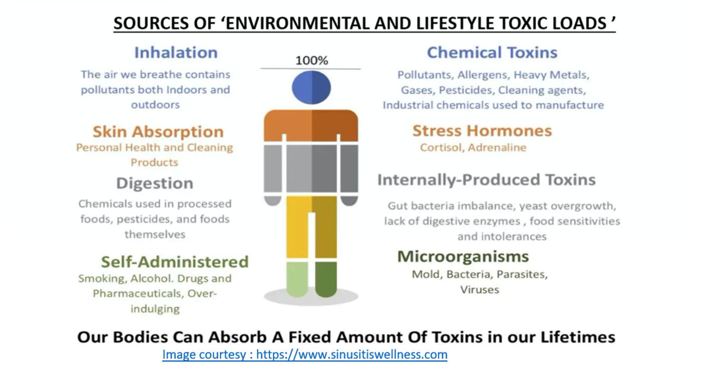 Biofield-Immunity-Toxin Loads