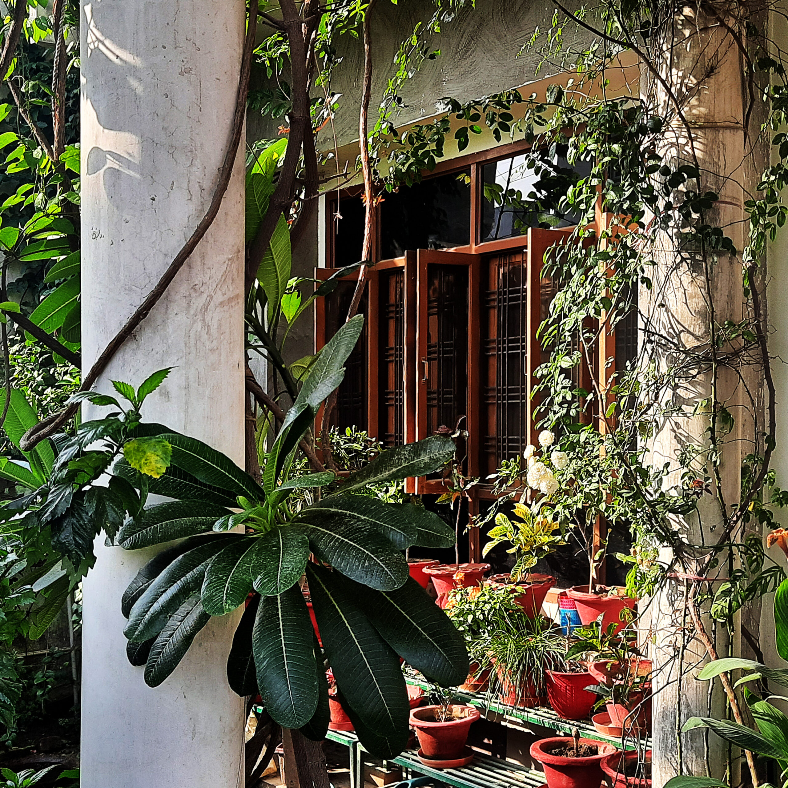 House in the Foliage, at Barabanki, Uttar Pradesh, India, by Advance Group 1