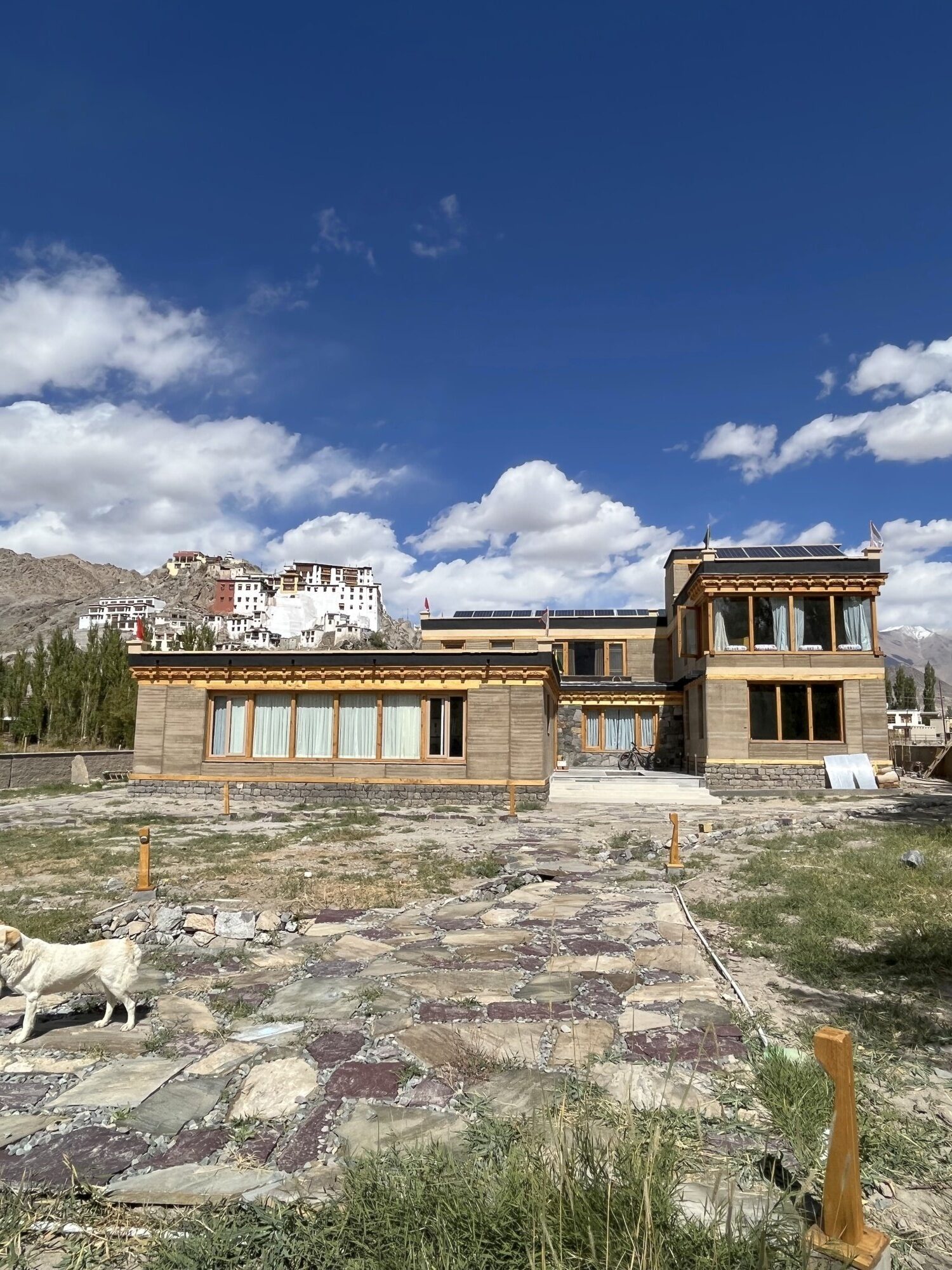 Earthling Ladakh, Ladakh 3