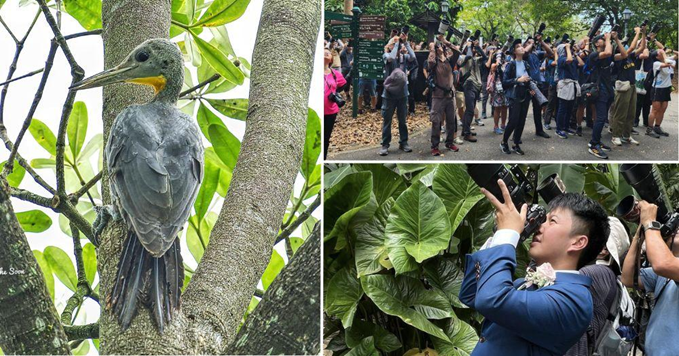 Winged Citizens: Nurturing Avian Life through Thoughtful Urbanism 17