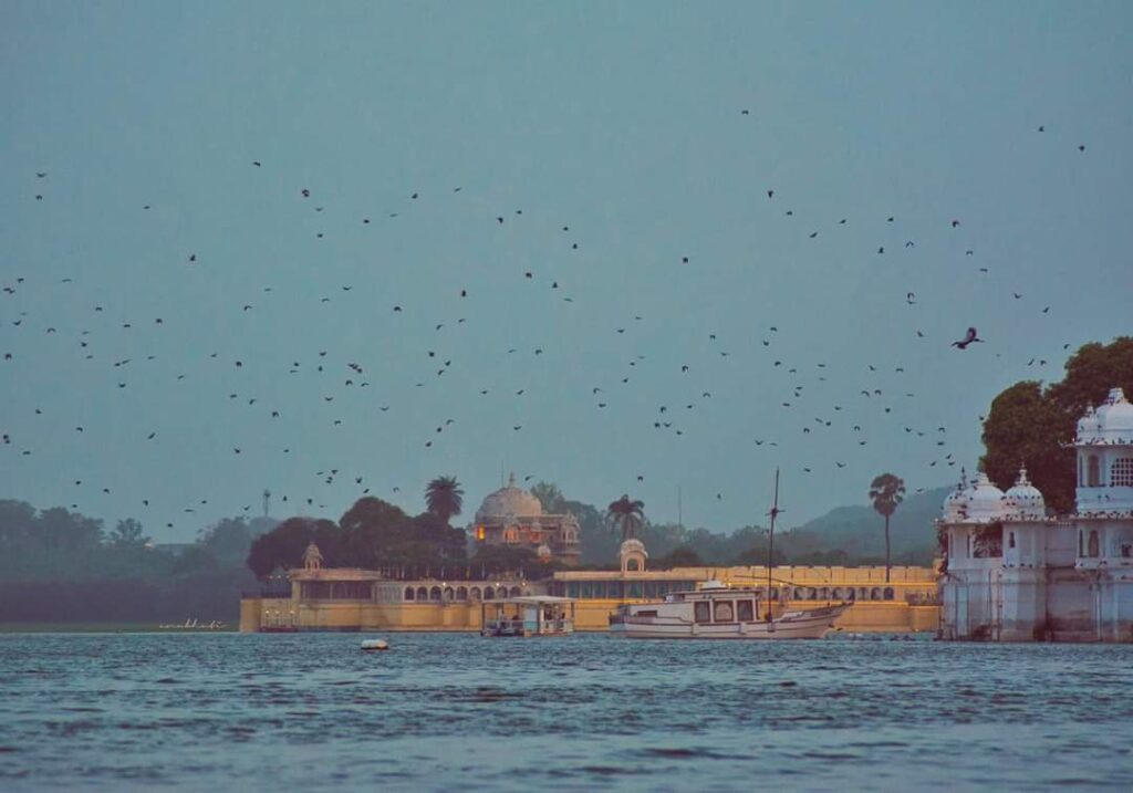 Udaipur's Architectural Renaissance: A Conservation Architect’s Chronicle of Heritage Amidst Climate’s Embraces 3