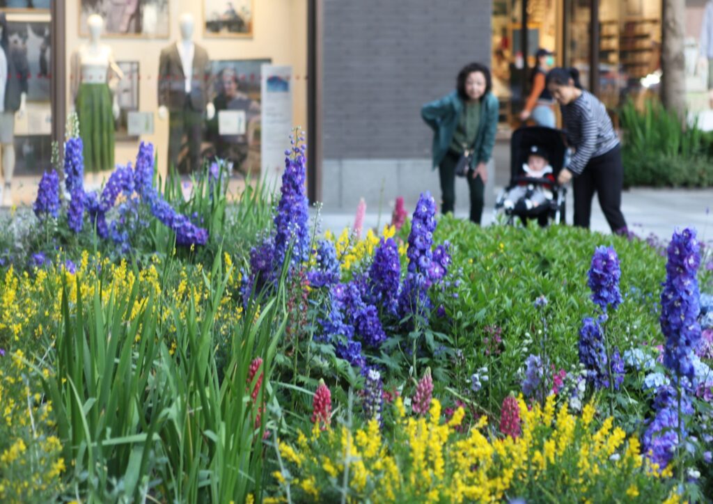 Flower borders add interest to shopping streets and neighbourhoods. © FLO