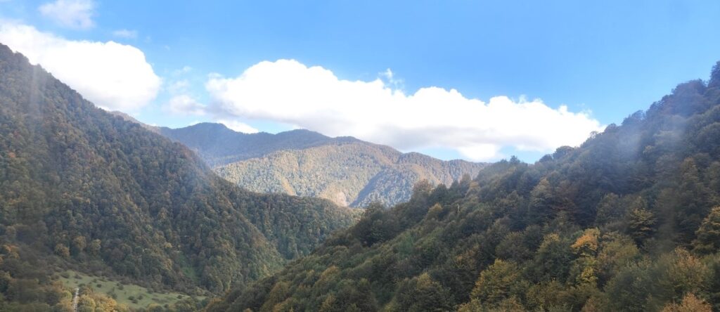 The rich flora and fauna at Gabala. © Suneet Paul