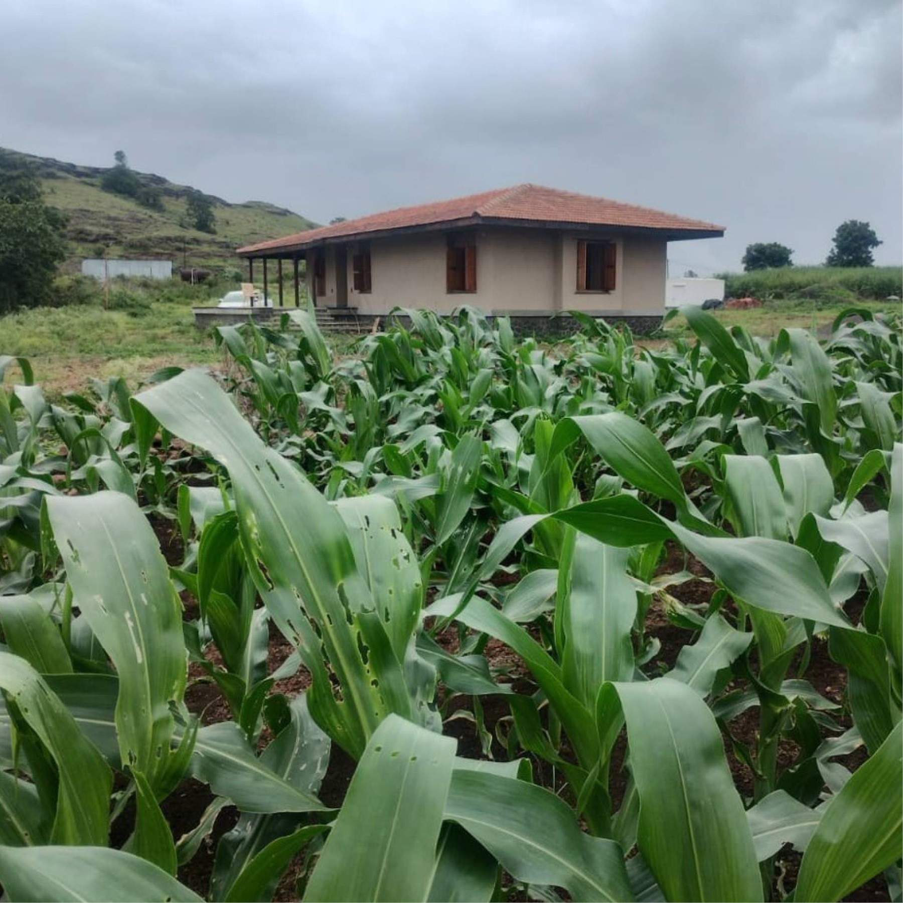 House near Manchar, Sahyadri, Maharashtra, by Shoonya Collaborative. Photo Courtesy of Shoonya Collaborative