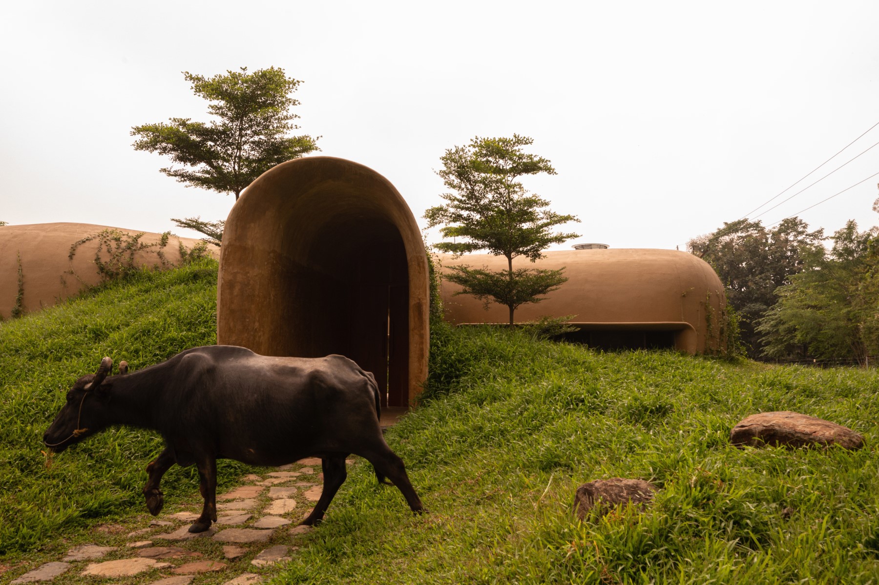 Into The Wild, Tamil Nadu, by Earthscape Studio. © Studio IKSHA