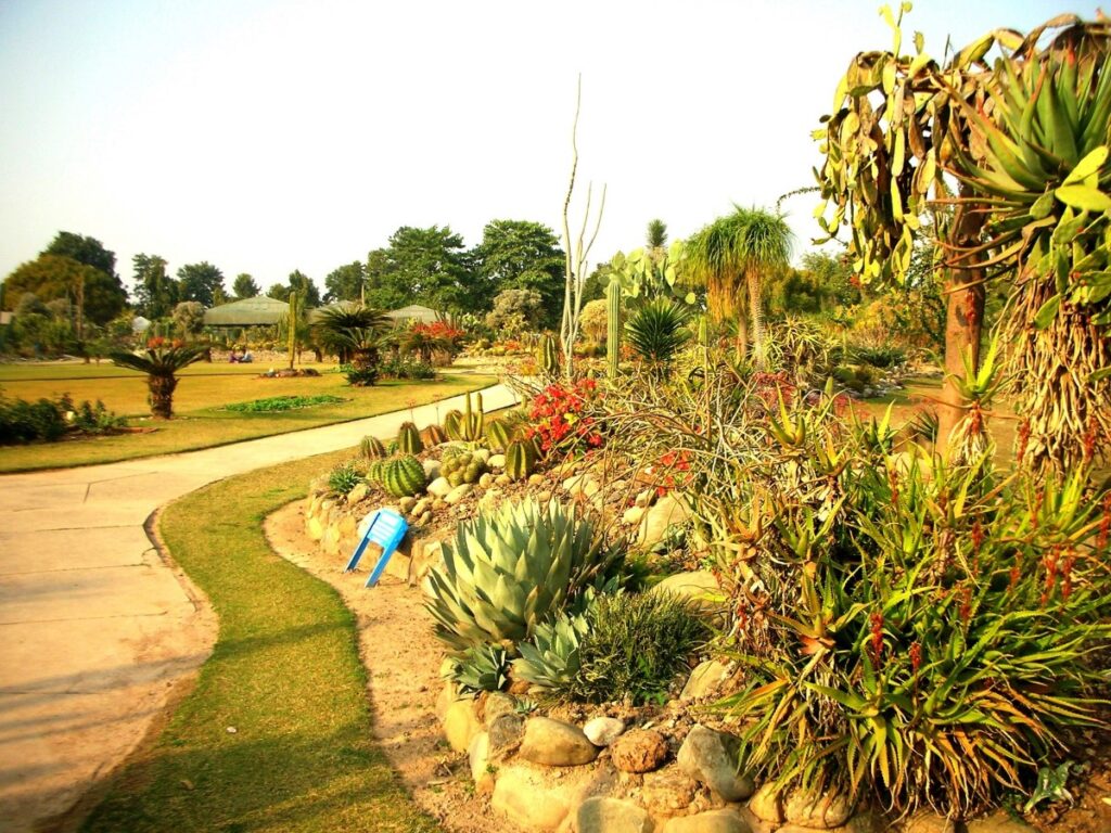 A beacon of conservation and research. © Sarbjit Singh Bahga
