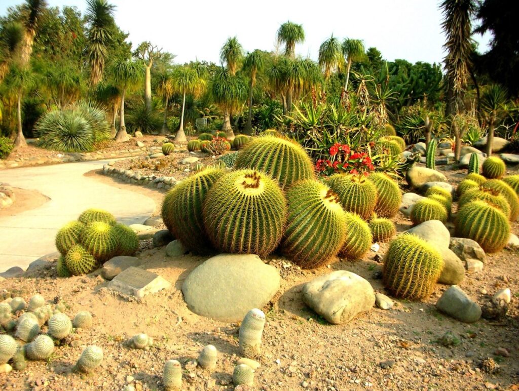 A place where nature, science, and beauty converge. © Sarbjit Singh Bahga