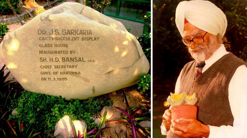 Dr. J. S. Sarkaria (1919 -2004), the founder and honorary curator of the Cactus Garden, Panchkula. © Sarbjit Singh Bahga