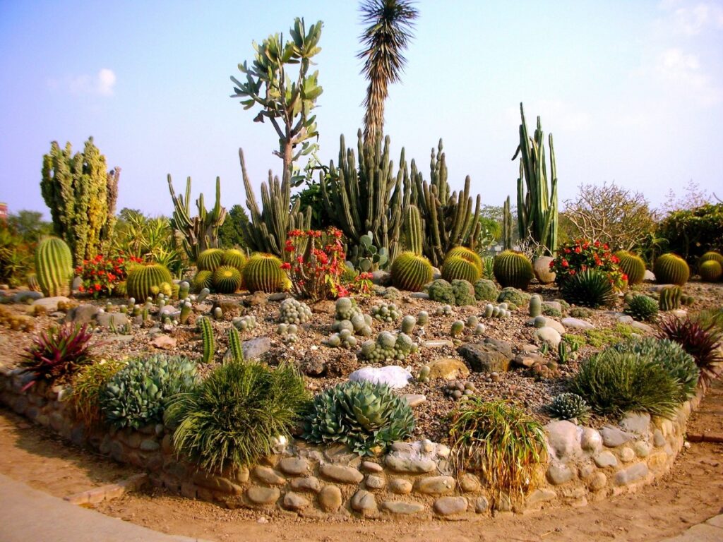 More than a display, the garden is a living laboratory. © Sarbjit Singh Bahga