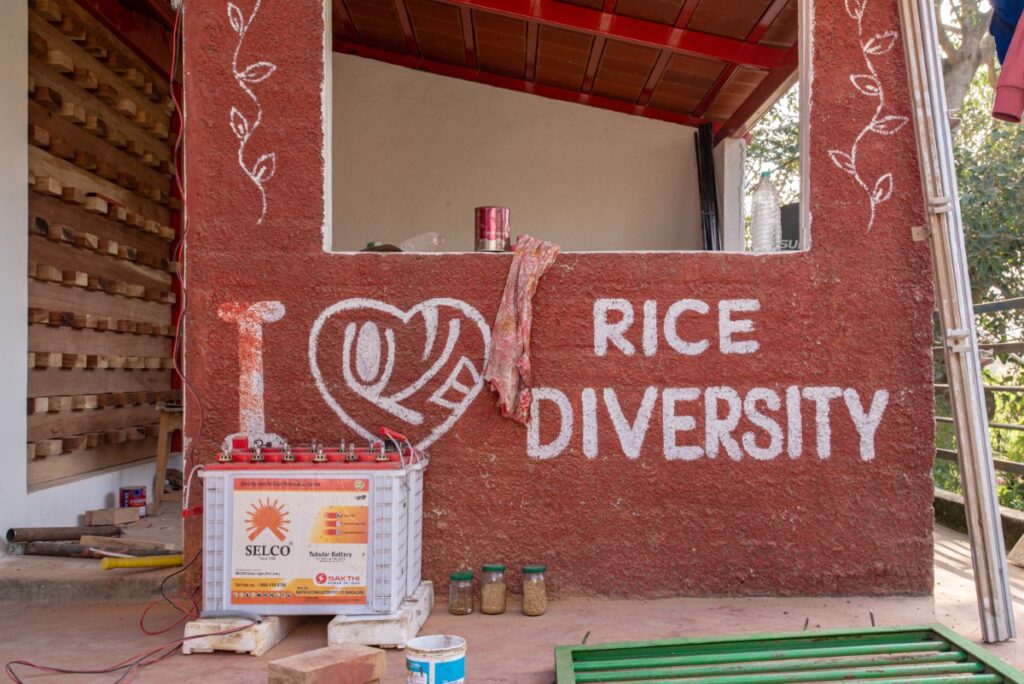 Rice Museum - During Construction, Karnataka, by RC Architects. © Antonin Mack (3)