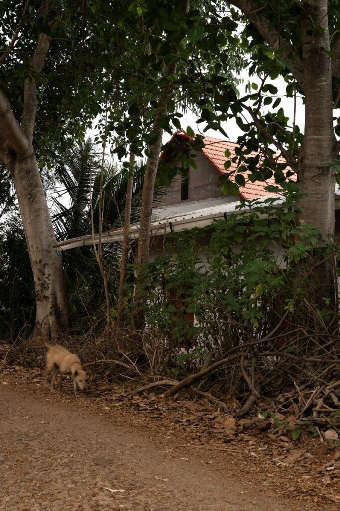 Rice Museum, Mandya, by RC Architects. © Sagar