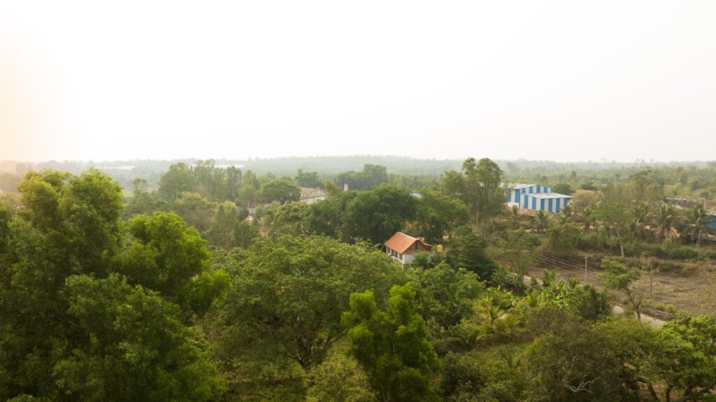 Rice Museum, Mandya, by RC Architects. © Sagar