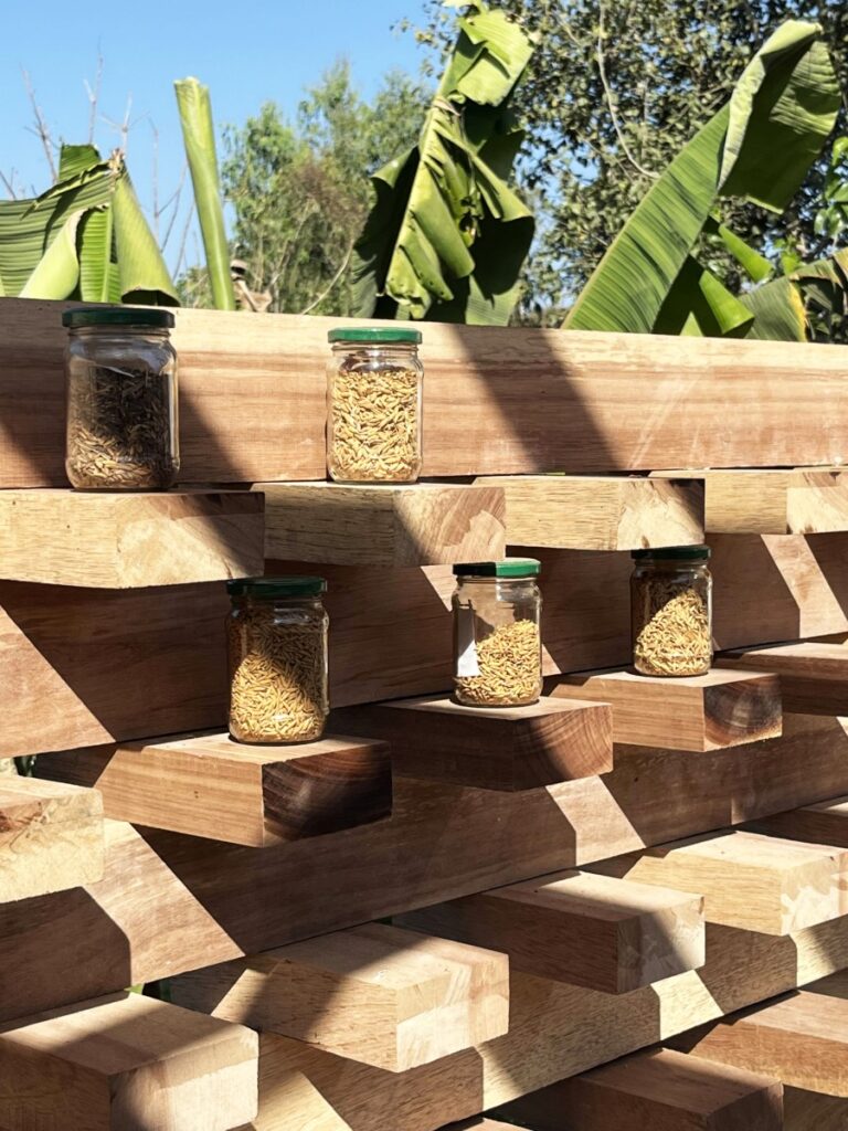 Rice Museum - during construction, by RC Architects. © Mohammed Abdullah Hameed (5)